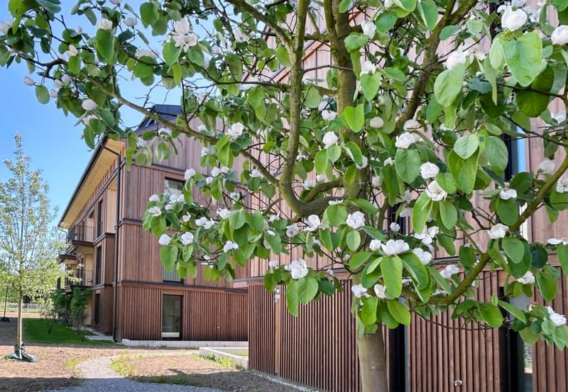 Appartements mansardés stylés 3.5 pièces avec galerie à Augst BL (19)
