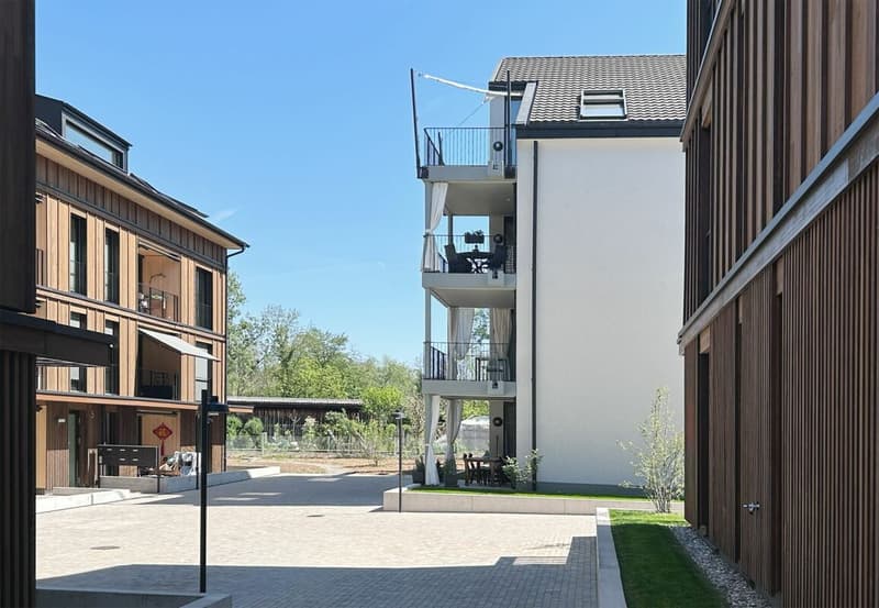 Appartements spacieux au dernier étage avec deux terrasses + belle vue (16)