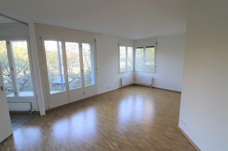 Helle 3-Zimmerwohnung am Rhein (2)