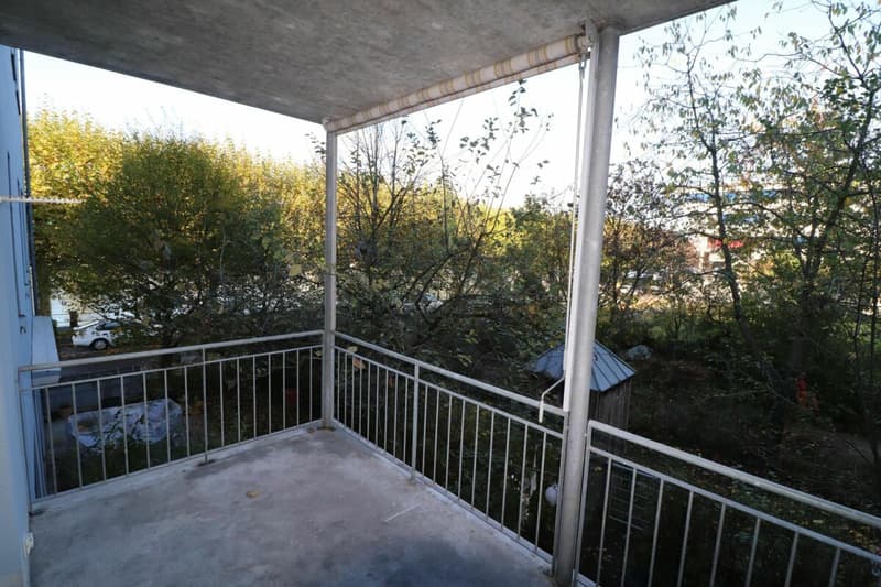 Helle 3-Zimmerwohnung am Rhein (5)