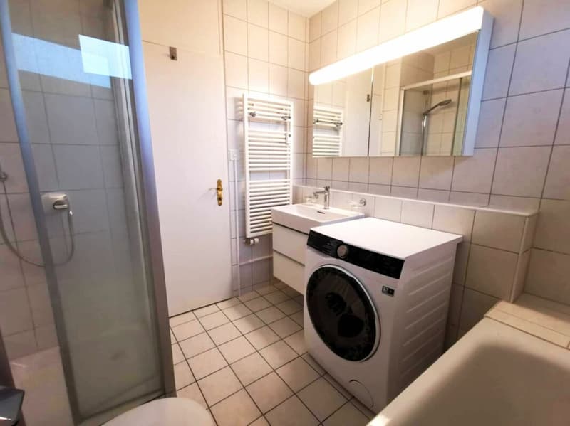 5-Zimmer-Attika-Wohnung mit grosser Dachterrasse (3)