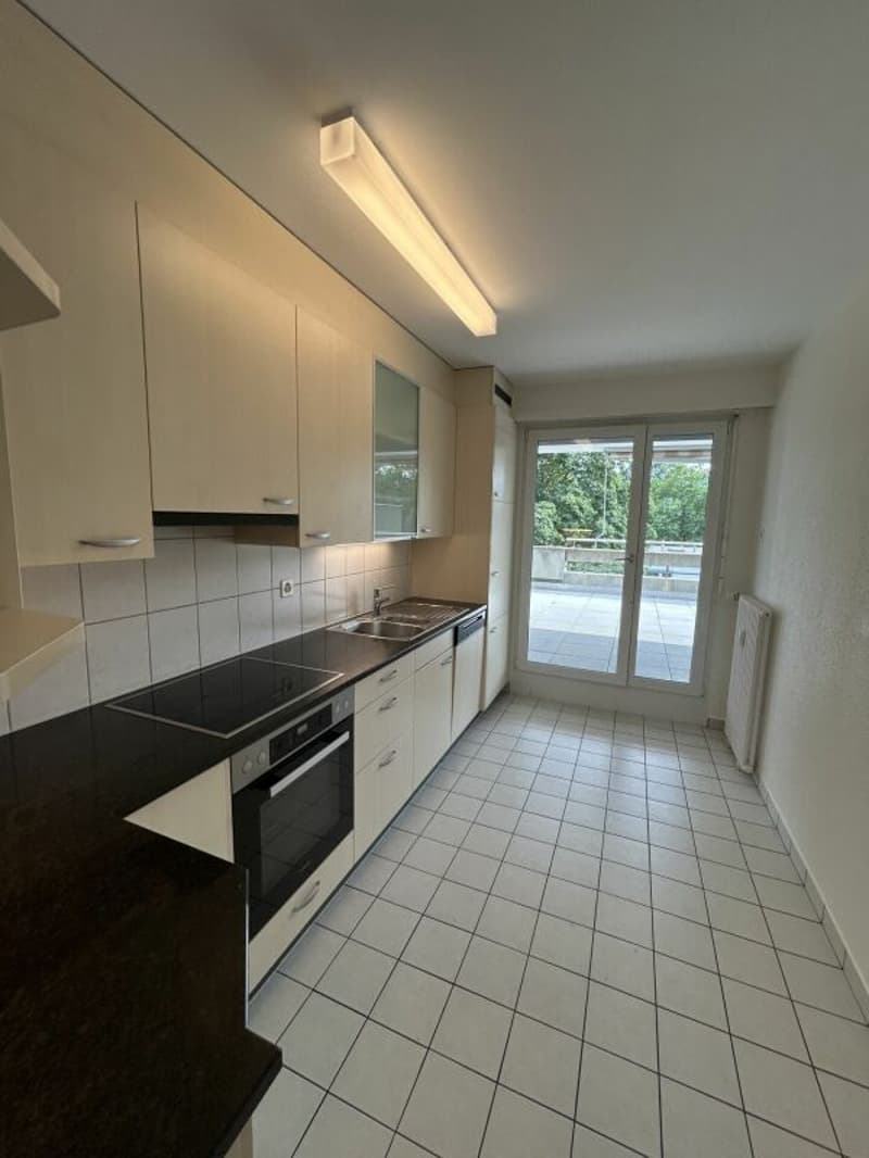 5-Zimmer-Attika-Wohnung mit grosser Dachterrasse (2)