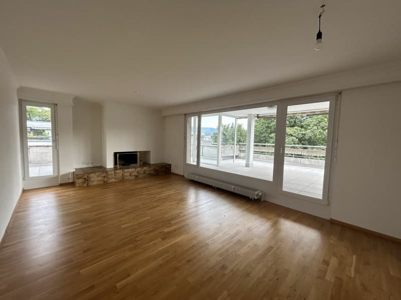5-Zimmer-Attika-Wohnung mit grosser Dachterrasse (7)