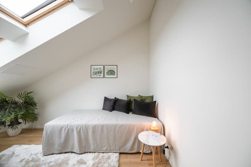 Stilvolle 3.5-Zimmer Dachwohnungen mit Galerie in Augst BL (6)