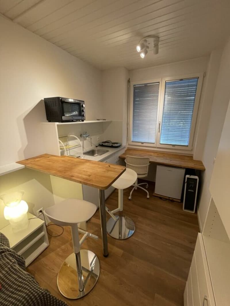 Möblierte 1-Zimmerwohnung im beliebten Gundeli-Quartier (3)