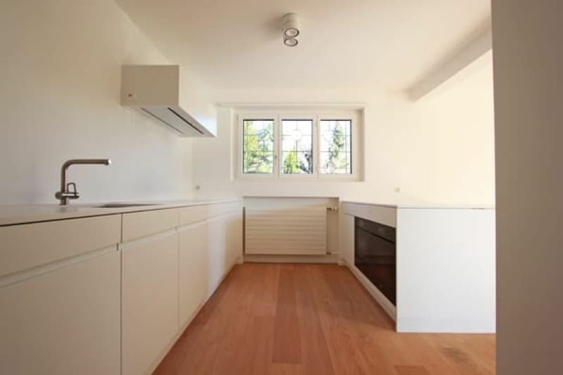Einfamilienhaus auf dem schönen Bruderholz - 7-Zimmer mit Pool und Doppelgarage (2)
