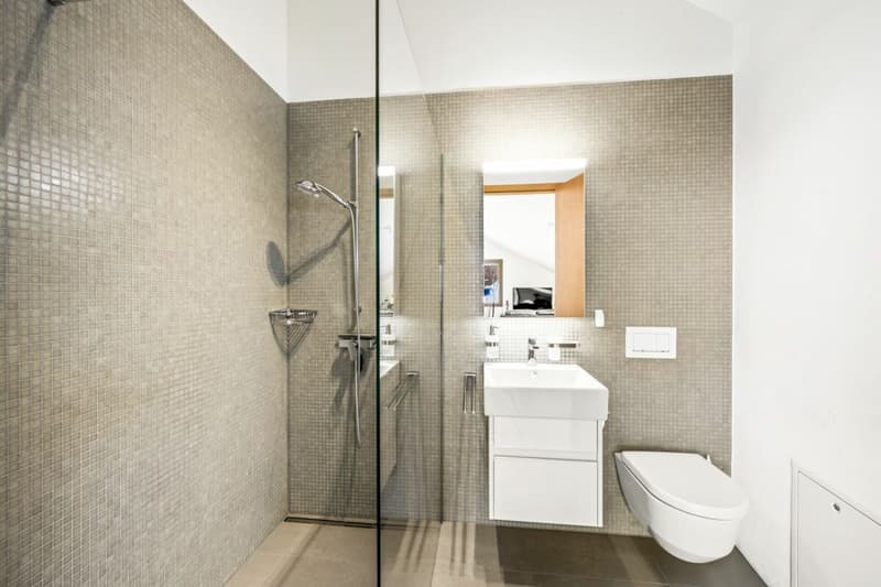 Moderne Nasszelle als Gäste-Bad mit walk-in Dusche
