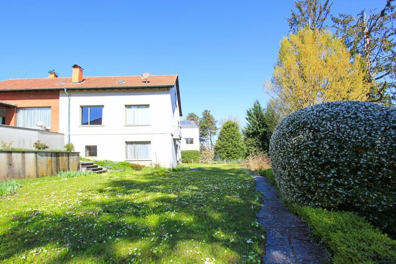 Seitliche Gartenansicht