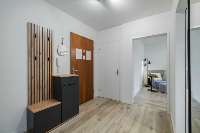 Eingangsbereich mit Einbauschrank und Zugang zum Reduit
