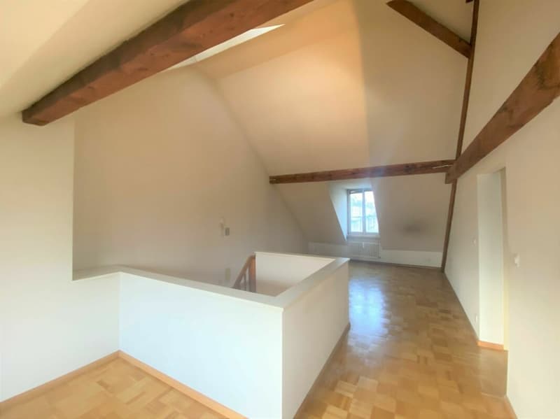 2.5 Zimmer-Dachwohnung im charmanten Baumgartnerhaus in Basel (4)