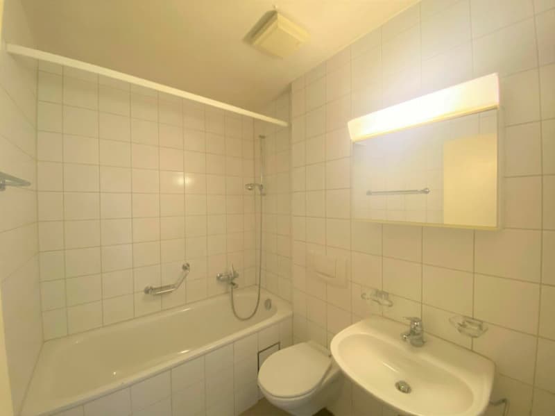 2.5 Zimmer-Dachwohnung im charmanten Baumgartnerhaus in Basel (5)