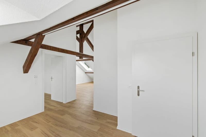 2.5 Zimmerwohnung im Iselinquartier (5)