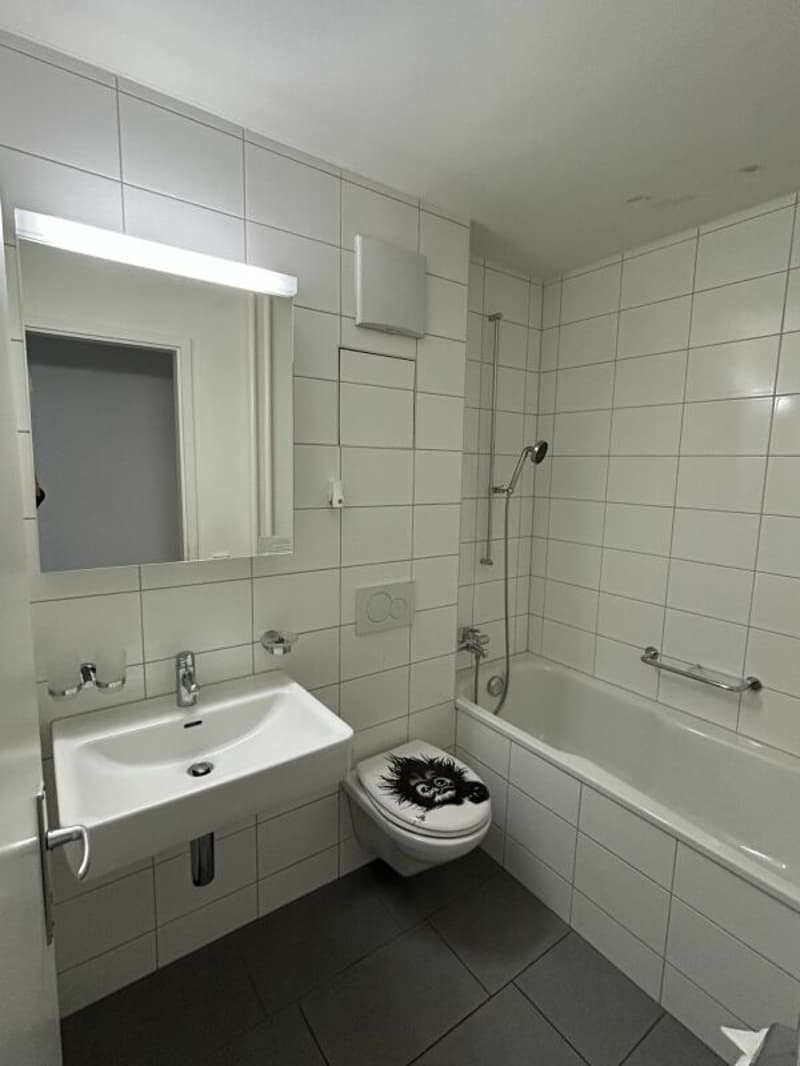 3.5 Zimmerwohnung in Reinach (3)