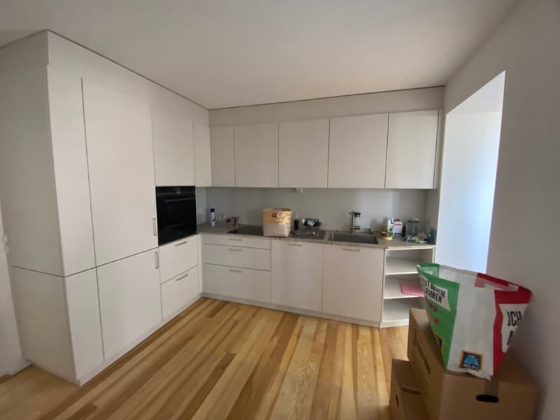 Modern, white kitchen with built-in appliances, including a dishwasher, and wooden flooring.