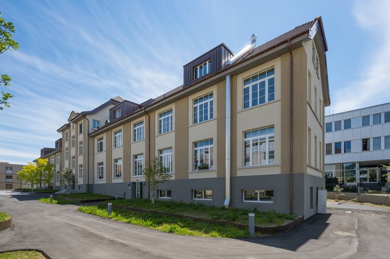 schöne Loft-Wohnung sucht Nachmieter (2)