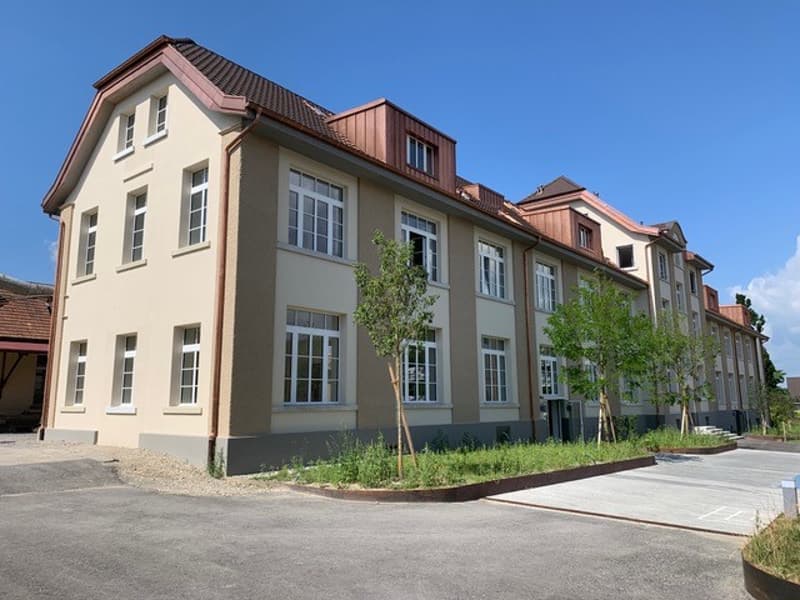 schöne Loft-Wohnung sucht Nachmieter (1)