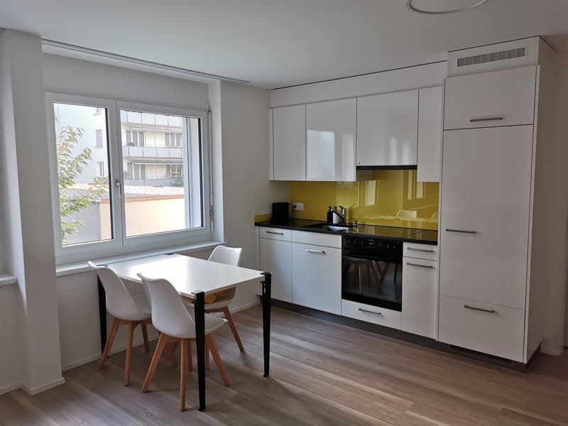 moderne , zentral gelegene Wohnung (5)