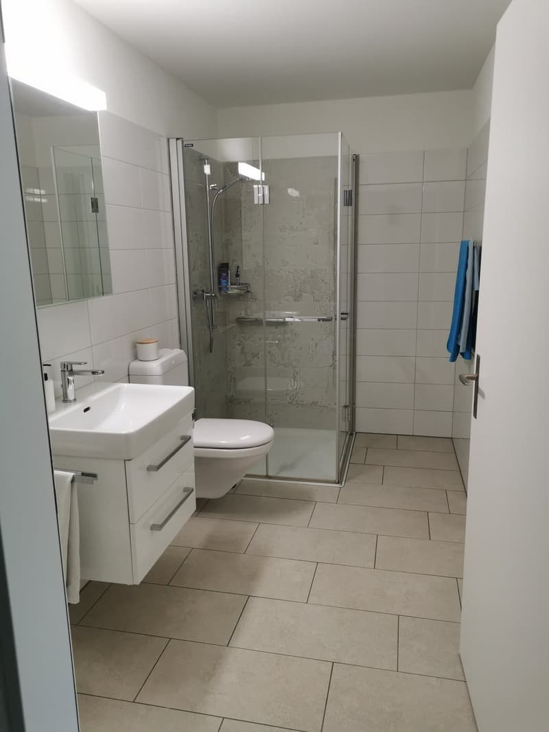 moderne , zentral gelegene Wohnung (7)