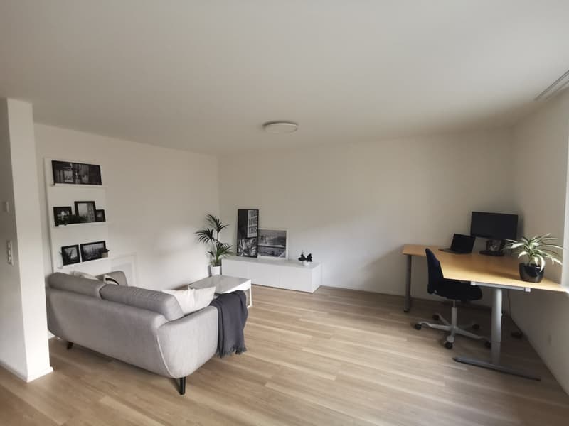 moderne , zentral gelegene Wohnung (2)