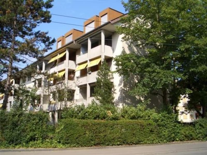 Zentrale Wohnlage in Winterthur-Wülflingen (1)