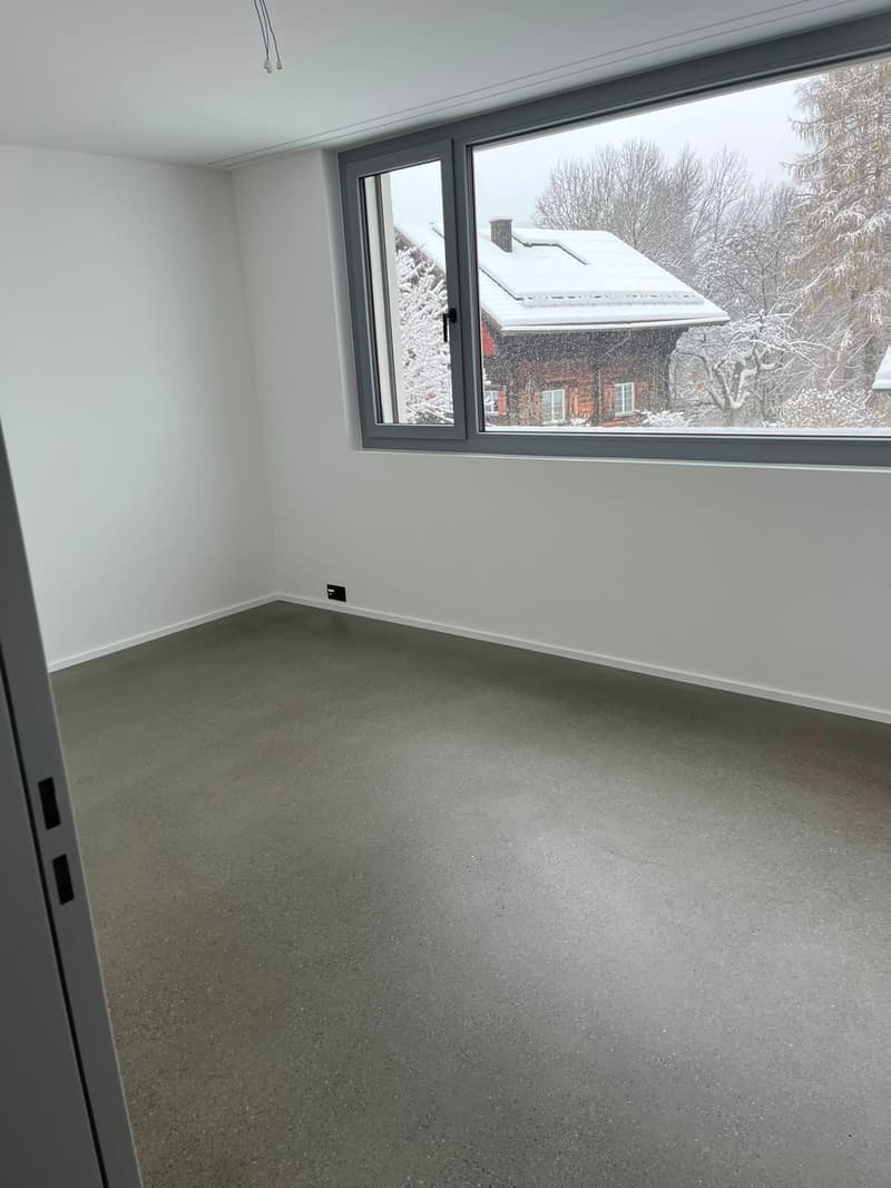 Modernes 6.5-Zimmer-Doppeleinfamilienhaus in St. Gallen (16)
