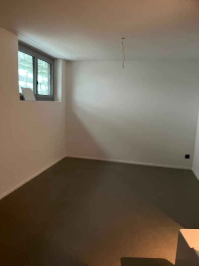 Modernes 6.5-Zimmer-Doppeleinfamilienhaus in St. Gallen (17)