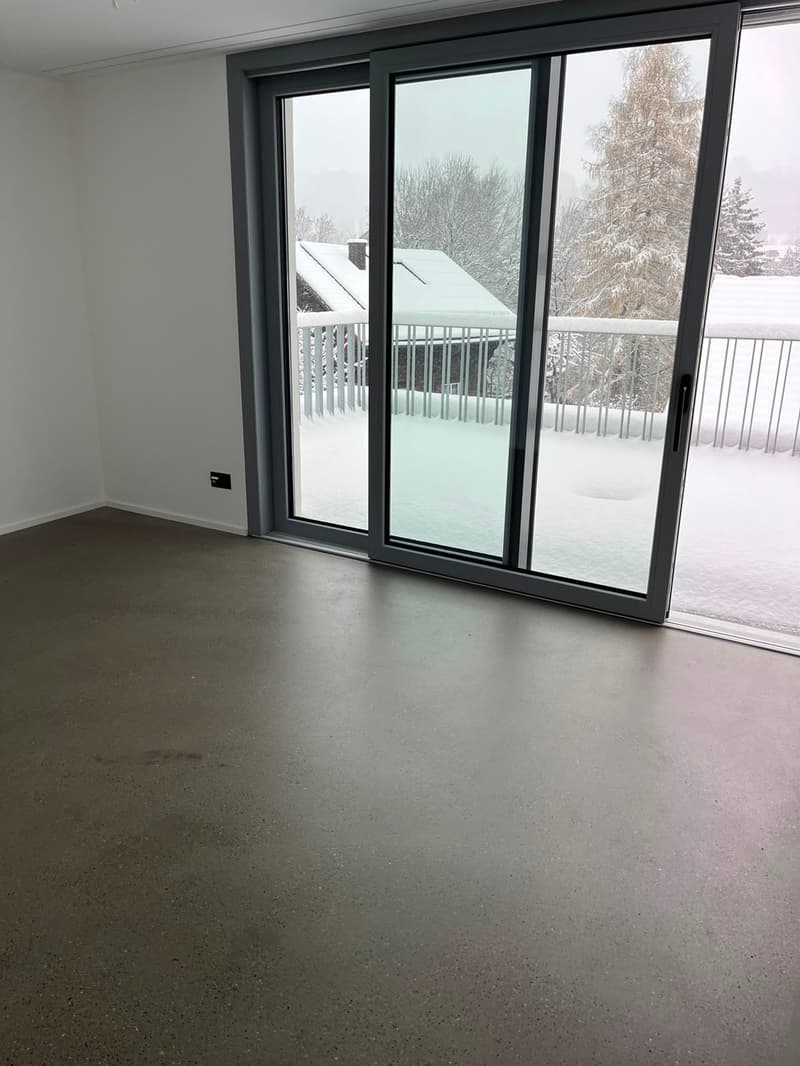 Modernes 6.5-Zimmer-Doppeleinfamilienhaus in St. Gallen (10)