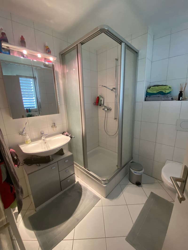 Charmante 4.5-Zimmer-Attika-Wohnung mit Aussicht in Winterthur Hegi (14)