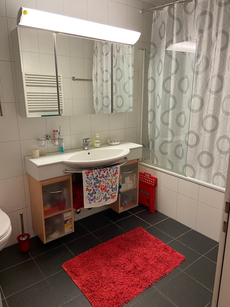 Charmante 4.5-Zimmer-Attika-Wohnung mit Aussicht in Winterthur Hegi (13)