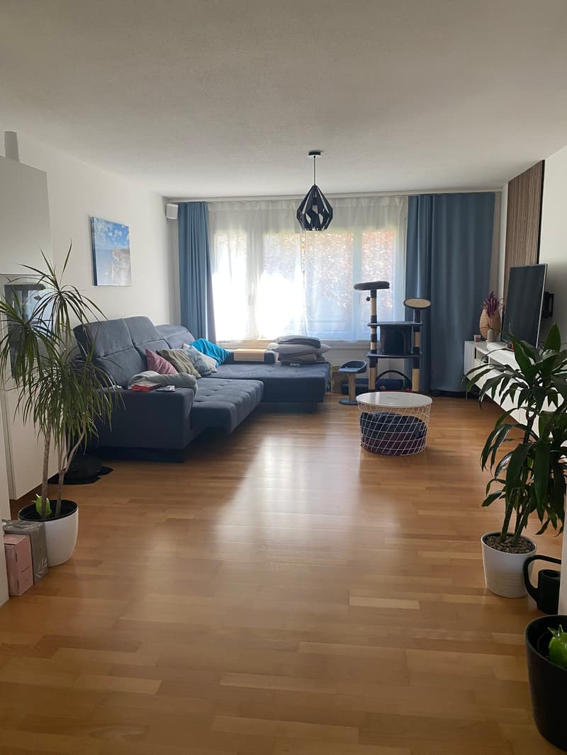 Ruhige, zentrale Wohnlage in Winterthur (3)