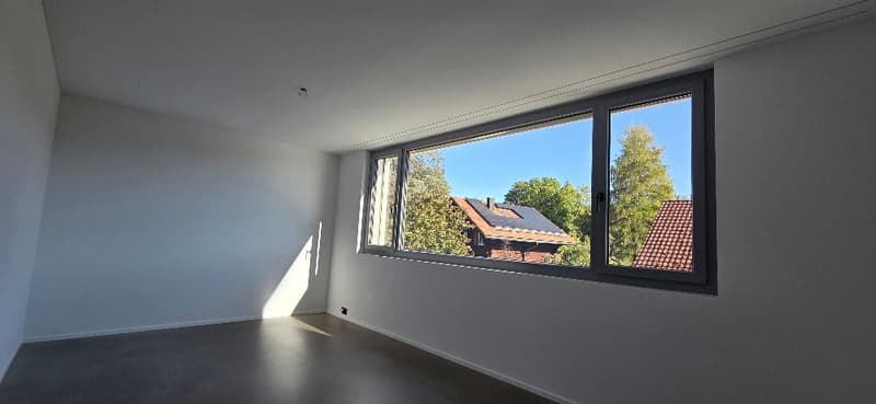 Modernes 6.5-Zimmer-Doppeleinfamilienhaus in St. Gallen (16)