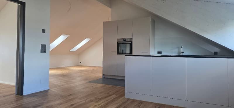 Erstvermietung Dachwohnungen in ruhigem Quartier (1)