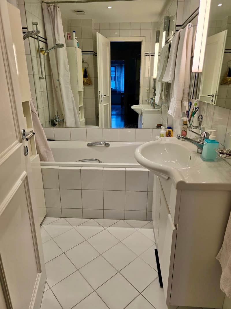 Charmante 3.5-Zimmer-Wohnung mit grosser Terrasse (9)