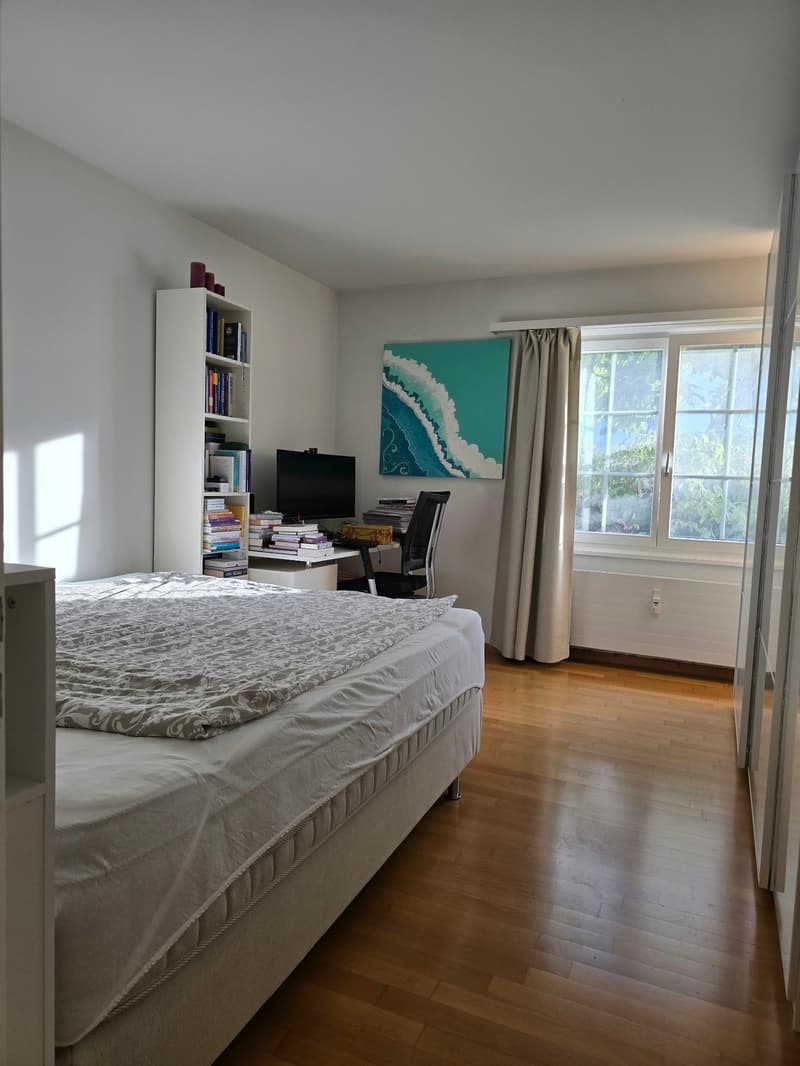 Charmante 3.5-Zimmer-Wohnung mit grosser Terrasse (10)