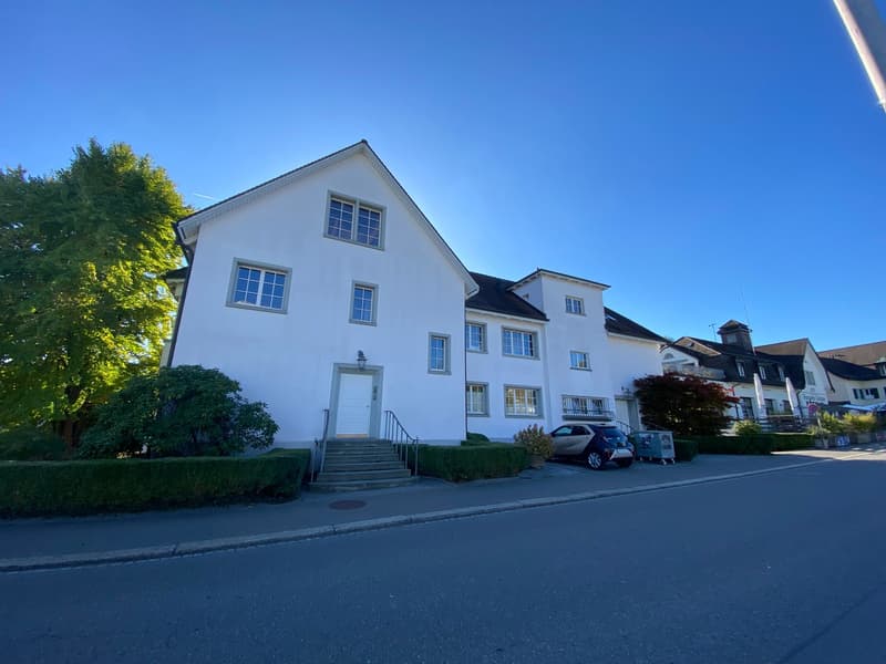 Charmante 3.5-Zimmer-Wohnung mit grosser Terrasse (2)