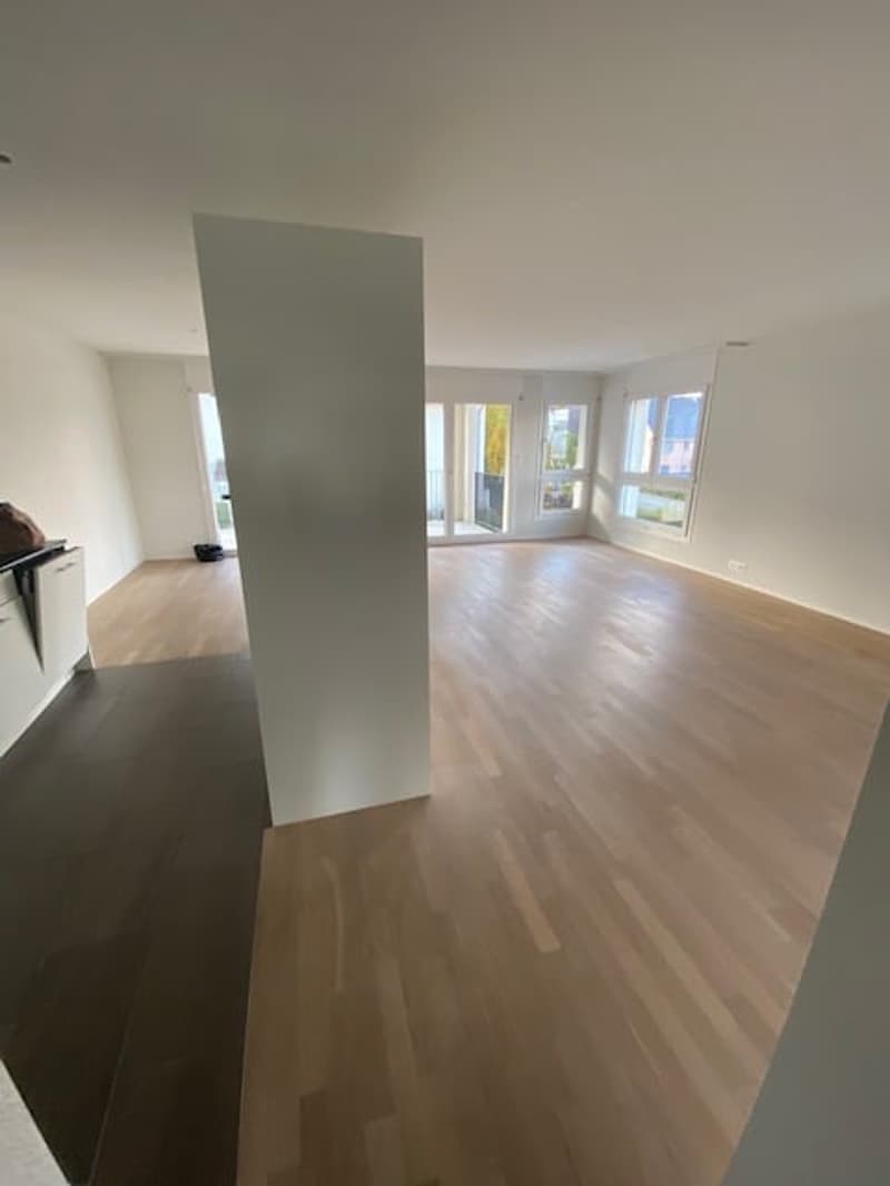 helle, moderne Wohnung mit grossem Balkon (14)