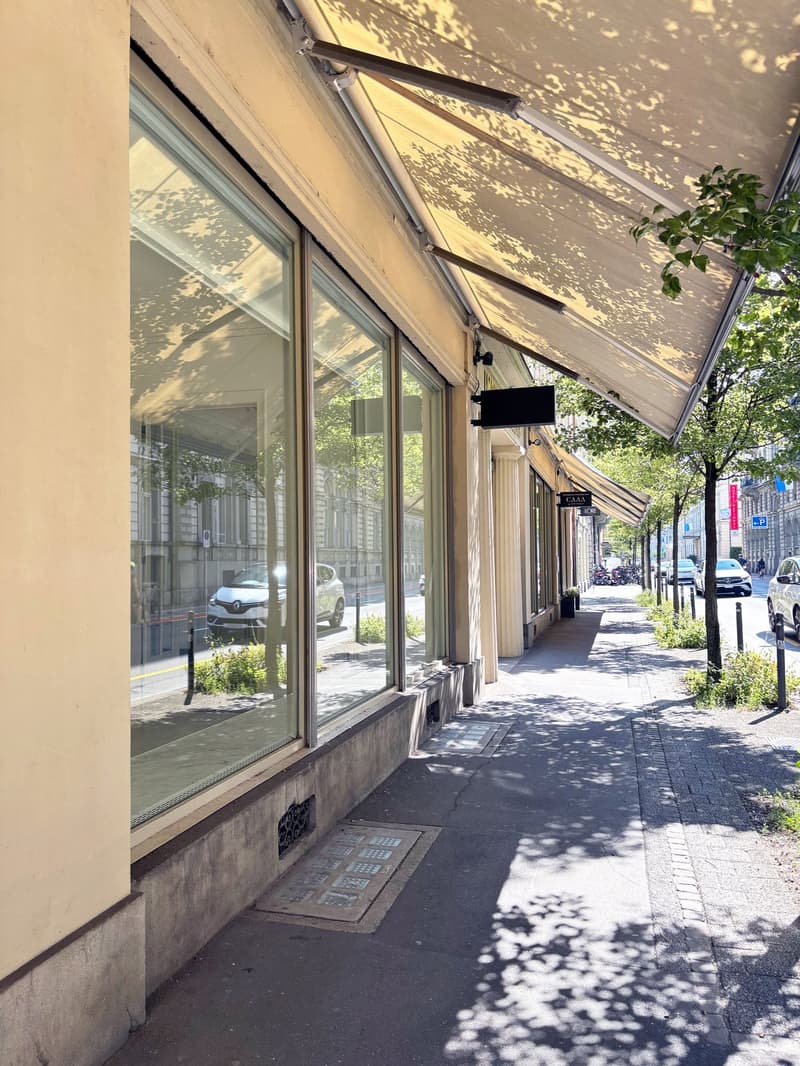 Exklusive Räume an der Haldenstrasse in Luzern (2)
