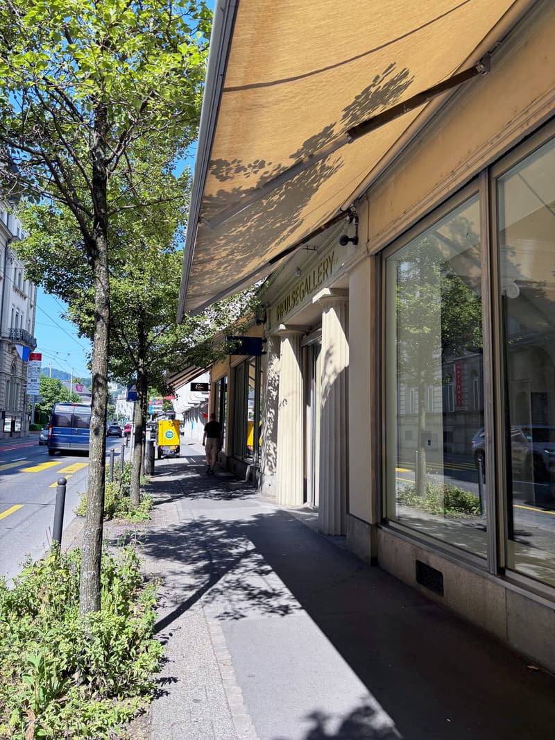 Exklusive Räume an der Haldenstrasse in Luzern (1)