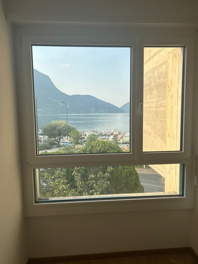 vista camera 2