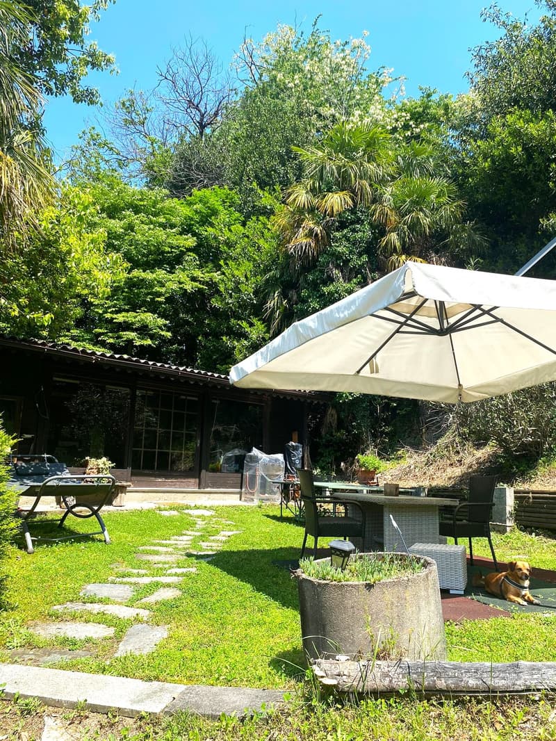 Outdoor patio with a large white umbrella, wicker furniture, and a grassy area surrounded by lush greenery and palm trees