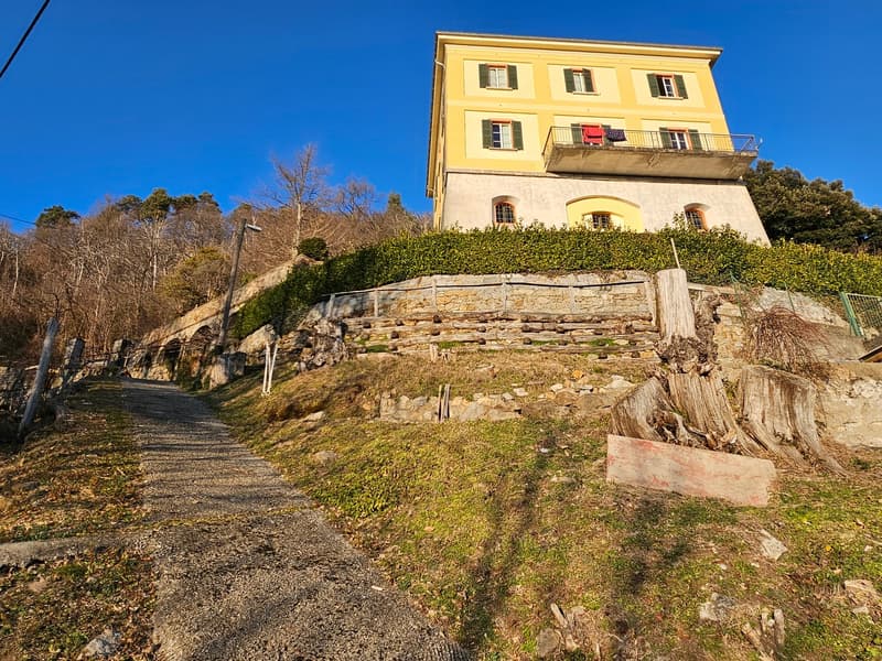 3-story yellow building with balconies, surrounded by trees and a stone retaining wall, with a gravel path leading up to the building