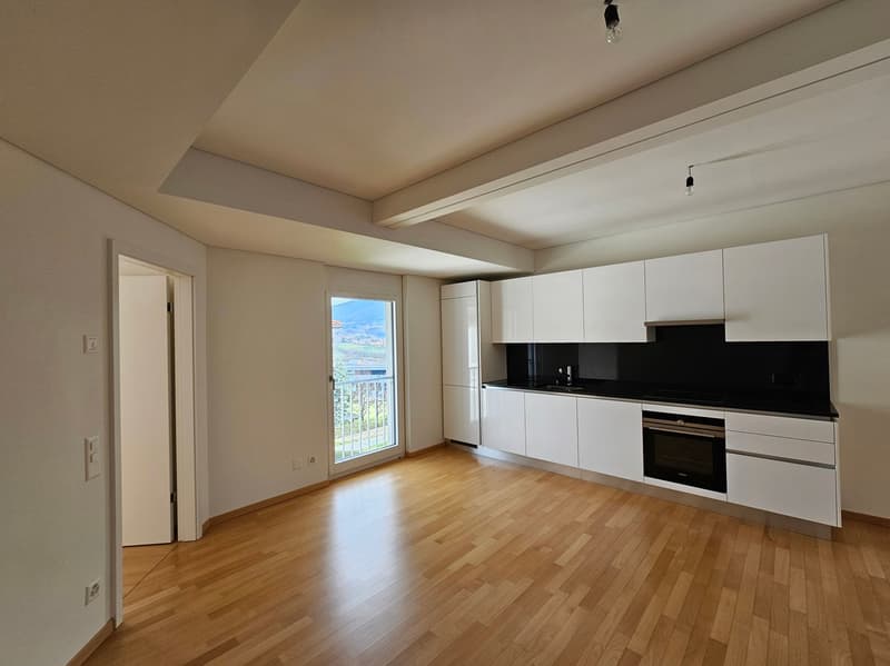 modern kitchen with integrated appliances, glass door to balcony, white cupboards, black countertops, wooden floor