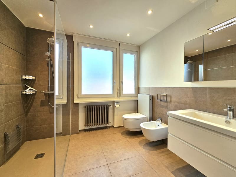 Bathroom with shower, toilet, bidet, radiator, sink, windows