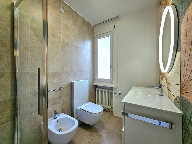 modern bathroom, large glass shower, white bidet, white toilet, white sink, white radiator, oval mirror, white countertop