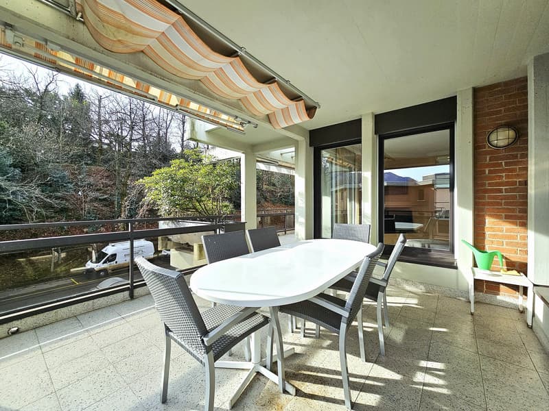 Terrace with dining table, chairs, and awning; brick wall and a glimpse of trees and a vehicle