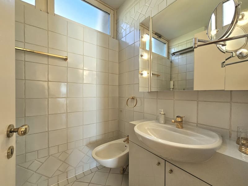 white tiled walls and floor, sink, bidet, mirror, soap dispenser, shower