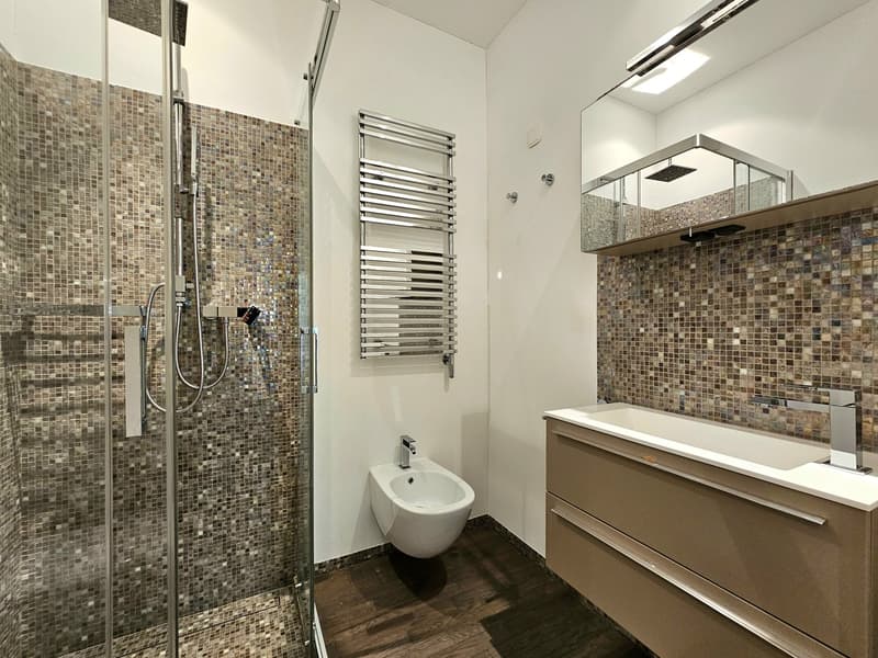modern bathroom with walk-in shower, bidet, sink, and towel rack