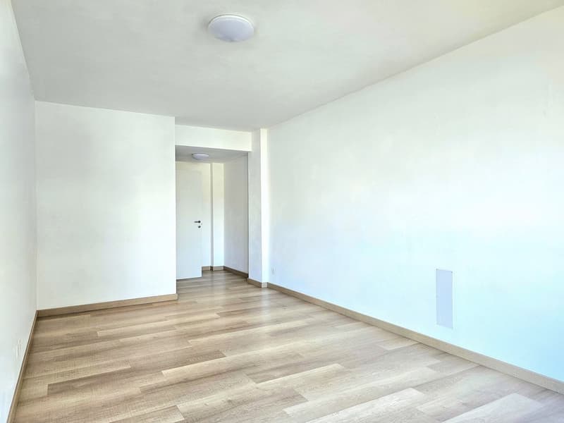 Empty room with white walls, wooden floor, ceiling light, door, power outlet