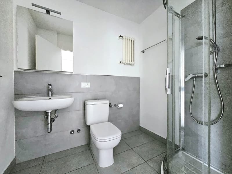 modern bathroom with white sink, white toilet, glass shower enclosure, mirror, and white radiator