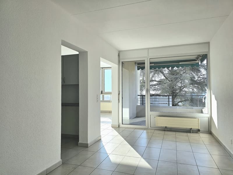 Vacallo: Confortevole e luminoso appartamento 5.5 locali con vista dominante (6)
